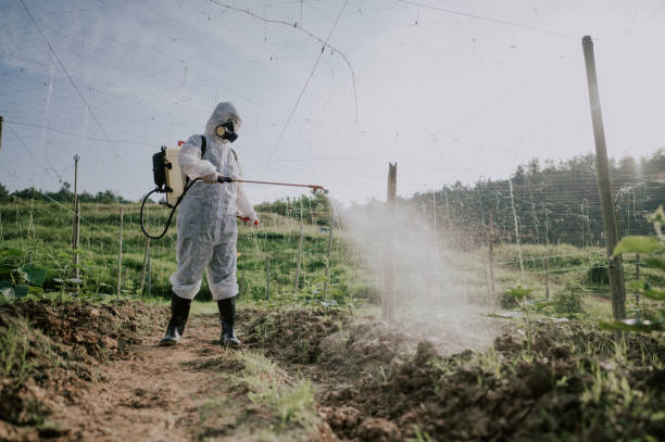Best Affordable Pest Control Services  in Robie Creek, ID