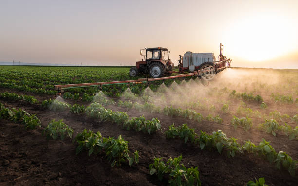 Best Best Pest Control Companies  in Robie Creek, ID