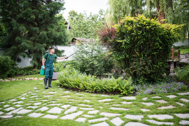  Robie Creek, ID Pest Control Pros