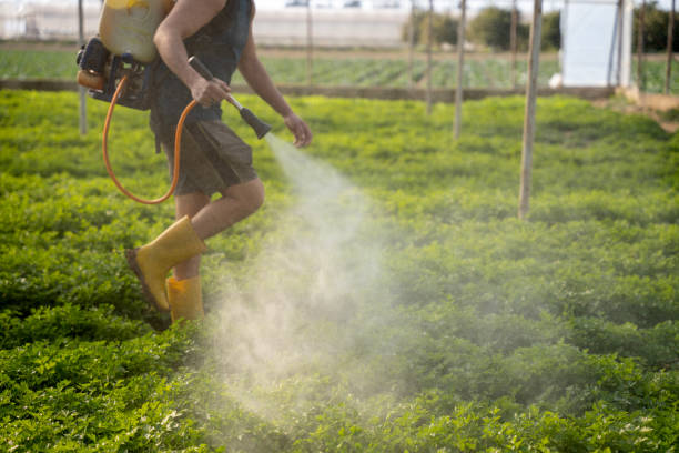Best Affordable Pest Control Services  in Robie Creek, ID