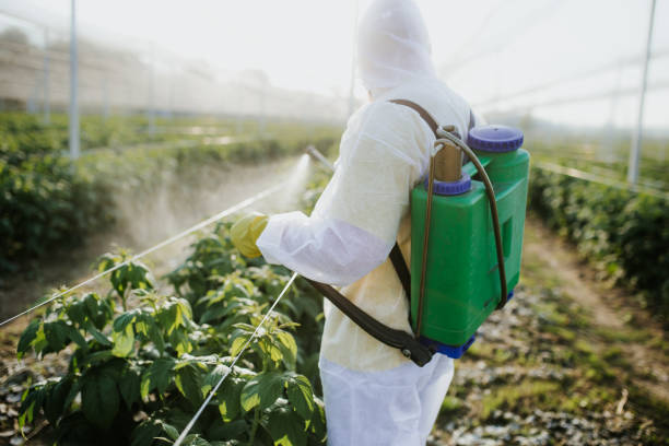 Best Cockroach Control Services  in Robie Creek, ID